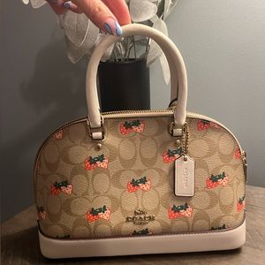Strawberry Coach purse.